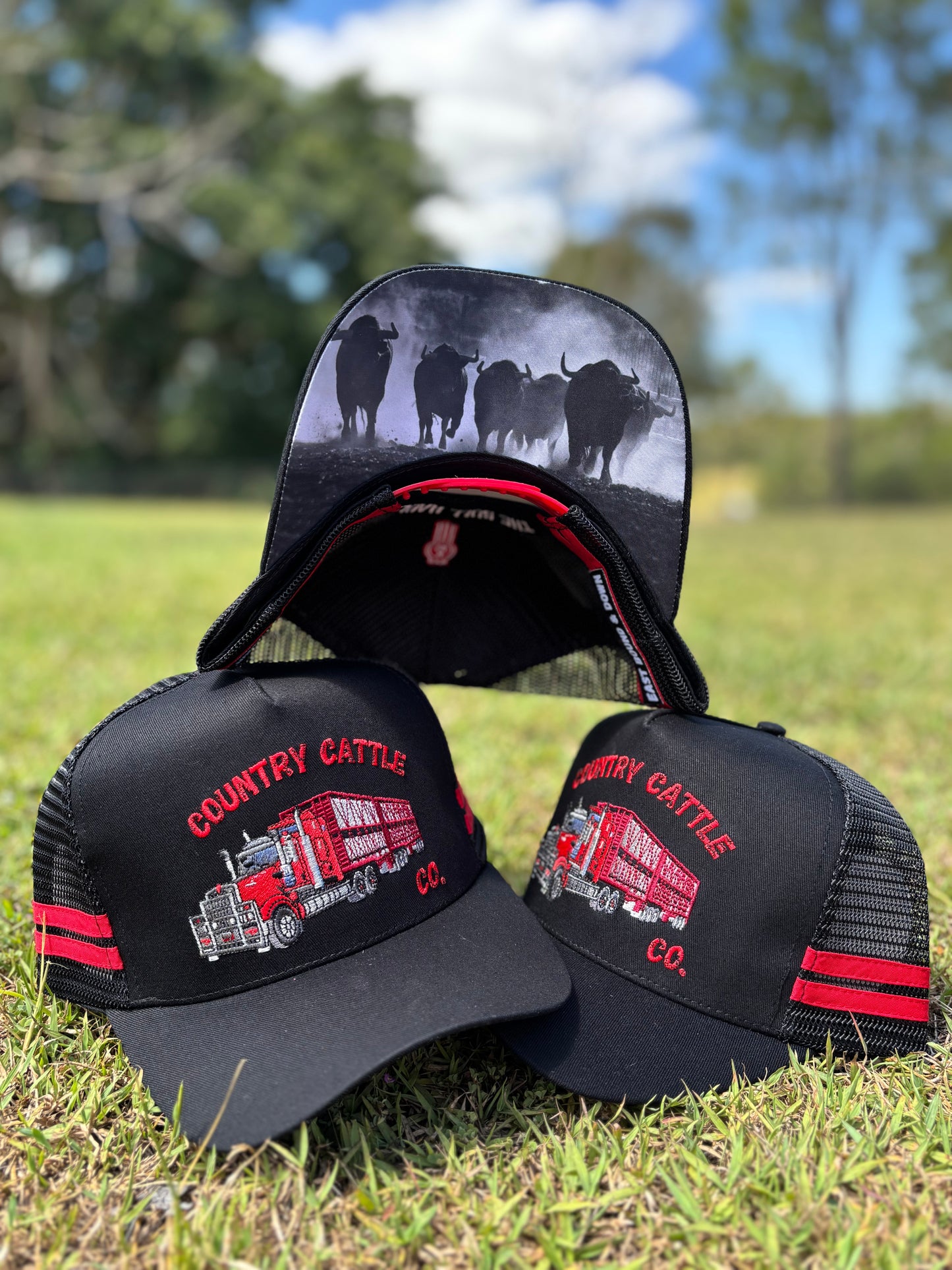 Country Cattle Co Black & Red Trucker Cap